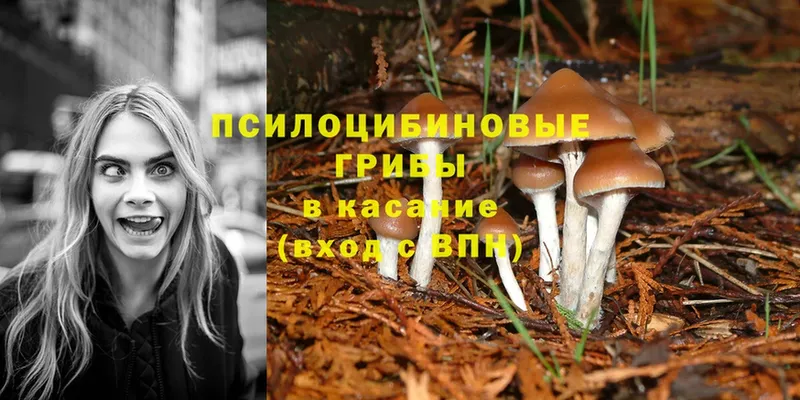 Псилоцибиновые грибы Magic Shrooms  Тюкалинск 